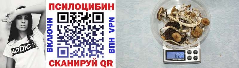 Псилоцибиновые грибы мицелий  наркота  Котельнич 