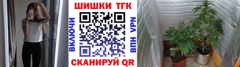 купить закладку  Котельнич  Конопля OG Kush 